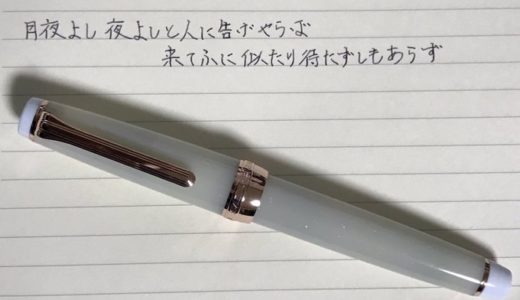 「うさぎや」さんの銀世界