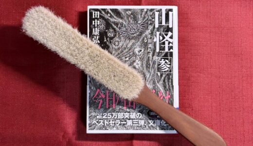 便利で書斎気分も味わえる、ブックブラシの素晴らしさをお伝えしたい