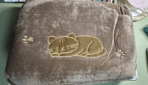 冬ごもりの準備を急ぐ——充電式湯たんぽってどうなのよ？