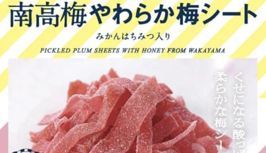 おやつTIMES「和歌山の南高梅やわらか梅シート」がめっちゃ梅である