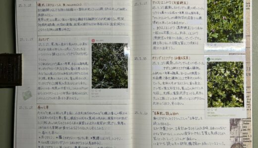 手帳まわりの文具たち　４月編